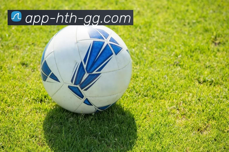 hth华体会服务体系